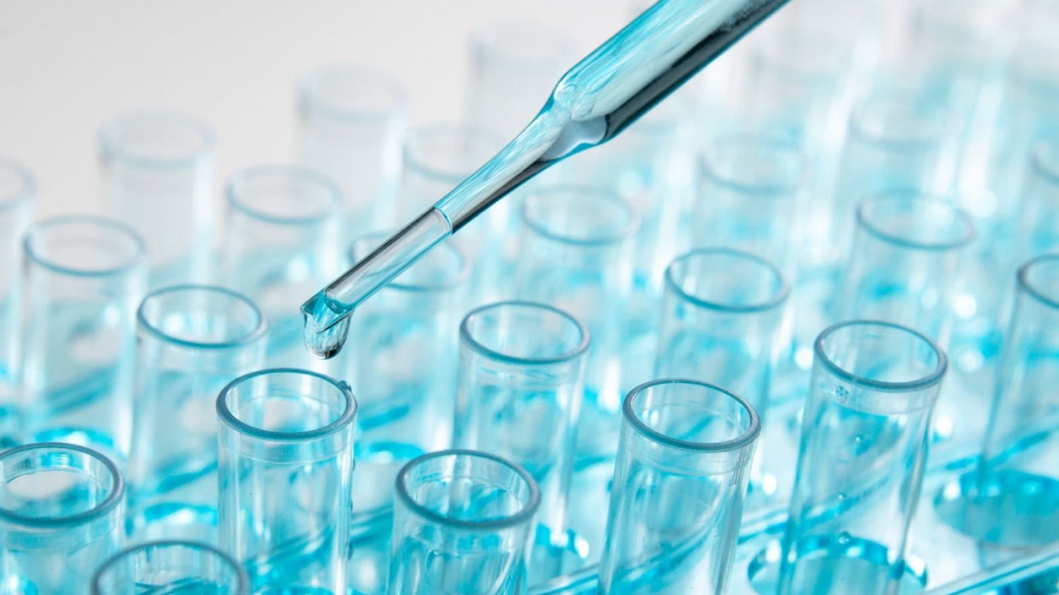 Cloning and Capillary Exosomes