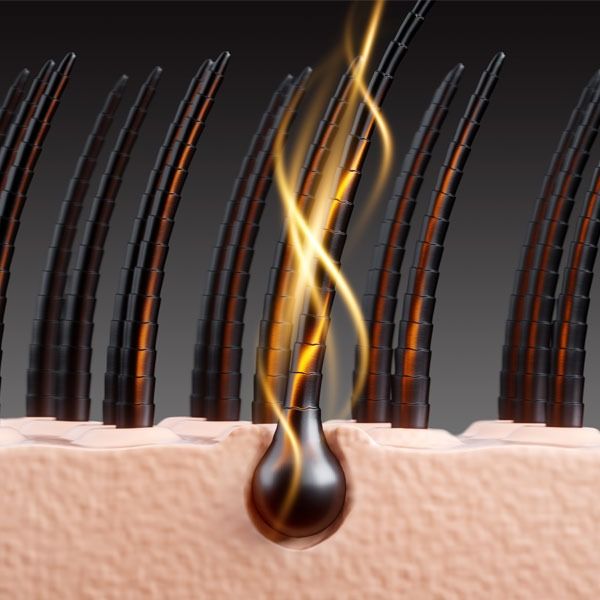 cycle_de_vie_du_cheveu_anagene_catagene_telogene_comment_ca_fonctionne_vraiment_